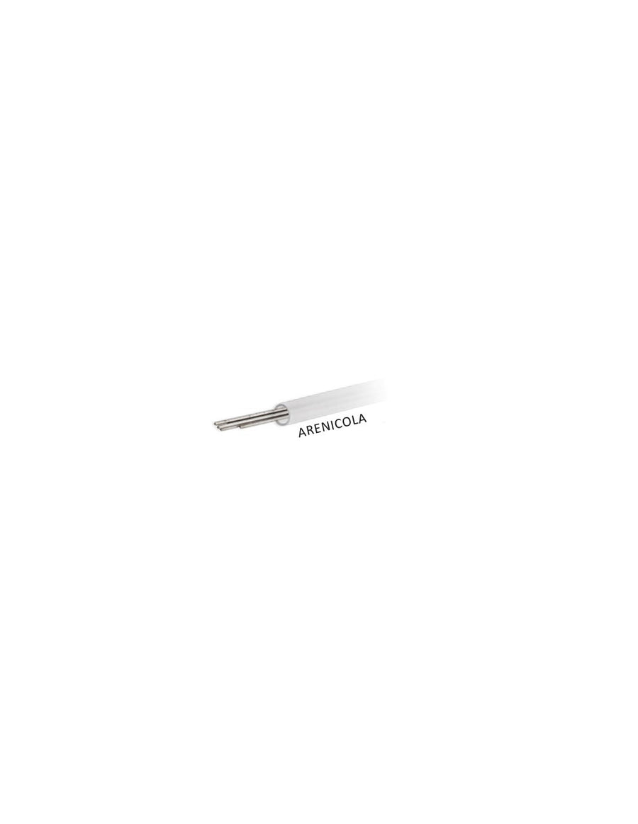 AGO INOX ARENICOLA CM. 20X0,6