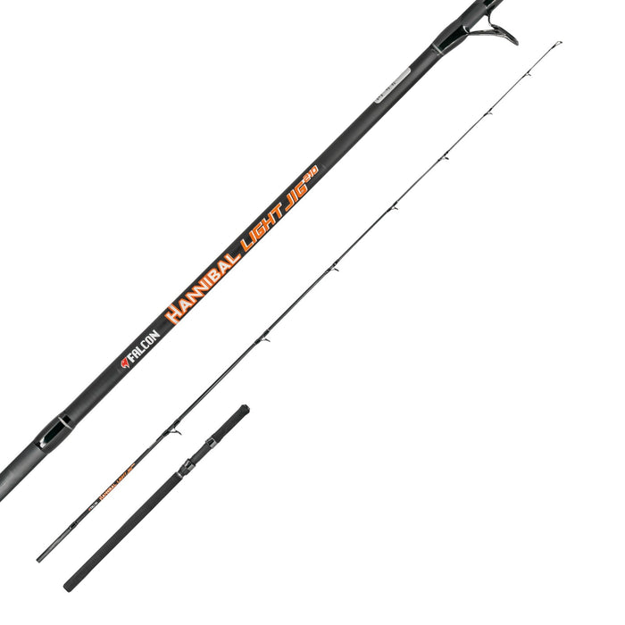 Canne Jigging