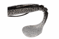 ULTRA SHAD CM.12 DARK MORAY