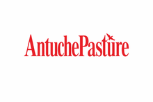 ANTICHE PASTURE